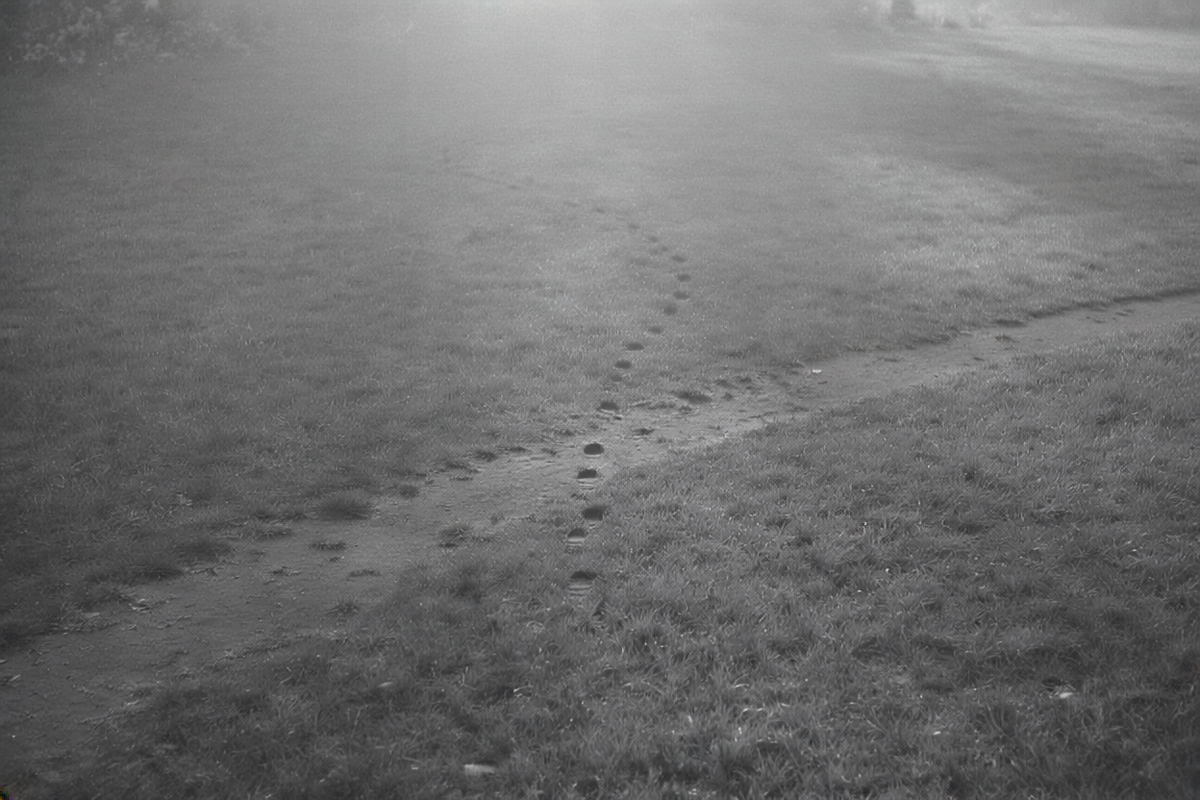 Everything You Think You Want Came from Someone Else