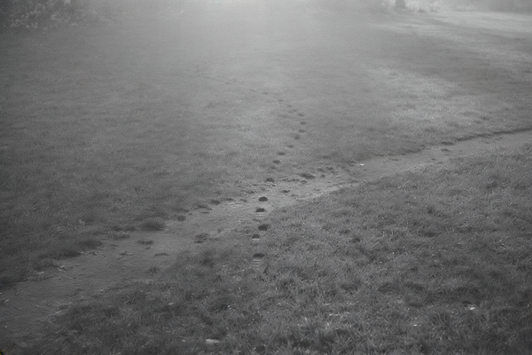 Everything You Think You Want Came from Someone Else